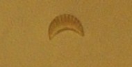 BORDER STAMP