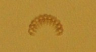 D637 BORDERS