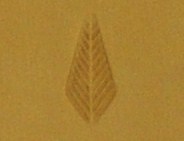 O50